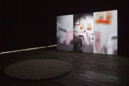 Stefanie Schwarzwimmer