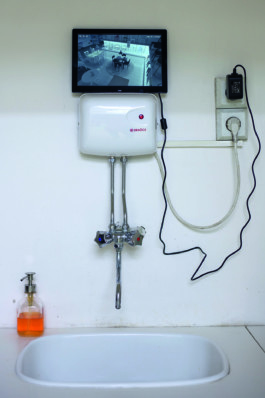 Stefanie Schwarzwimmer