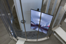 Stefanie Schwarzwimmer