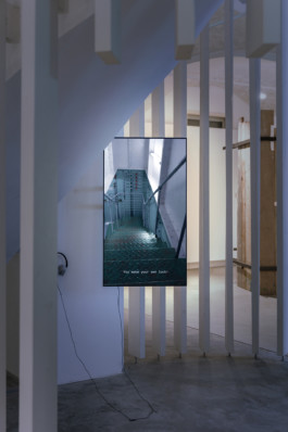 Stefanie Schwarzwimmer