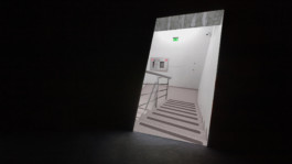 Stefanie Schwarzwimmer