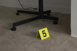 If these walls could talk, they would cough and go back to bed 