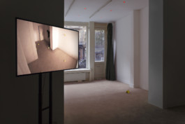 Stefanie Schwarzwimmer