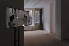 Stefanie Schwarzwimmer