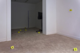 Stefanie Schwarzwimmer