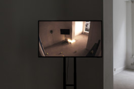 Stefanie Schwarzwimmer