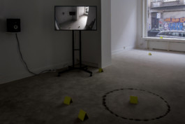 Stefanie Schwarzwimmer