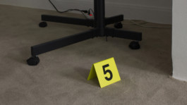 Stefanie Schwarzwimmer