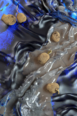 Stefanie Schwarzwimmer