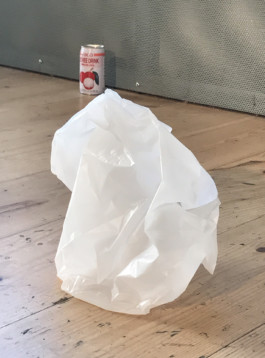 Stefanie Schwarzwimmer