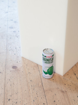 Stefanie Schwarzwimmer