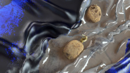 Stefanie Schwarzwimmer