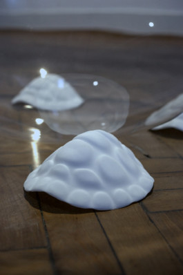 Stefanie Schwarzwimmer