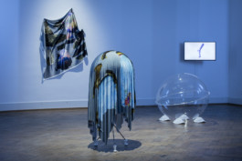 Stefanie Schwarzwimmer