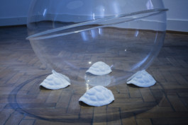 Stefanie Schwarzwimmer