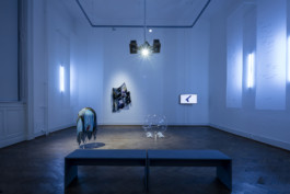 Stefanie Schwarzwimmer