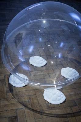 Stefanie Schwarzwimmer