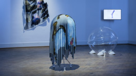 Stefanie Schwarzwimmer