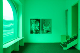 Stefanie Schwarzwimmer