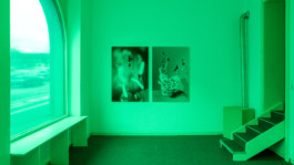 Stefanie Schwarzwimmer