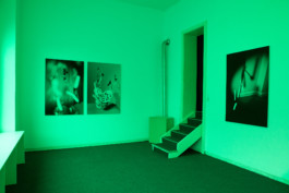 Stefanie Schwarzwimmer