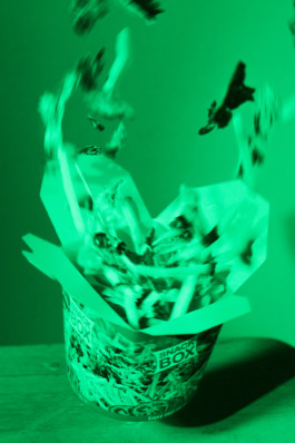 Stefanie Schwarzwimmer