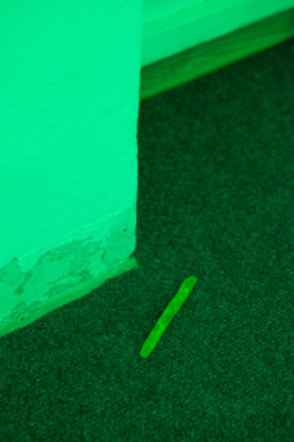 Stefanie Schwarzwimmer