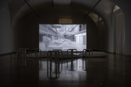 Stefanie Schwarzwimmer