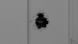 Stefanie Schwarzwimmer